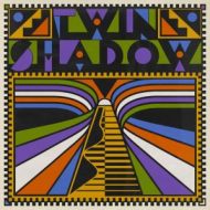 دانلود آلبوم Twin Shadow از Twin Shadow
