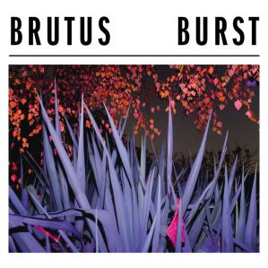 دانلود آلبوم Burst از Brutus