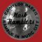 دانلود آلبوم Ramble in Music City The Lost Concert از Emmylou Harris