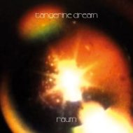 دانلود آلبوم Raum از Tangerine Dream