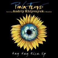 دانلود آلبوم Hey Hey Rise Up (feat. Andriy Khlyvnyuk of Boombox) از Pink Floyd