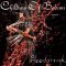 دانلود آلبوم Blooddrunk از Children Of Bodom