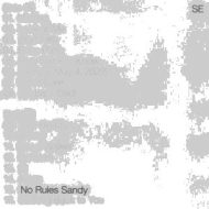 دانلود آلبوم No Rules Sandy از Sylvan Esso