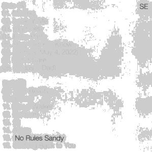 دانلود آلبوم No Rules Sandy از Sylvan Esso