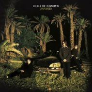 دانلود آلبوم Evergreen (25 Year Anniversary Edition) از Echo And The Bunnymen