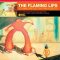 دانلود آلبوم Yoshimi Battles the Pink Robots (20th Anniversary Deluxe Edition) از The Flaming Lips