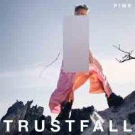 دانلود آلبوم TRUSTFALL از Pink