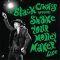 دانلود آلبوم Shake Your Money Maker (Live) از The Black Crowes