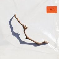 دانلود آلبوم I Inside the Old Year Dying از PJ Harvey