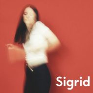 دانلود آلبوم The Hype از Sigrid