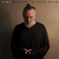 دانلود آلبوم Beauty In Your Wake از Fink