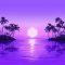 دانلود آلبوم Paradise از Purple Disco Machine