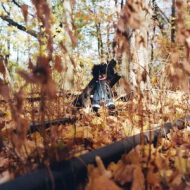 دانلود آلبوم GOLLIWOG از Billy Woods