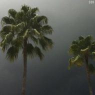 دانلود آلبوم South Side Suicide از SuicideboyS