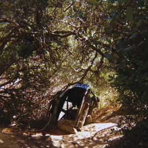 دانلود آلبوم Possession از Ty Segall