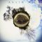 دانلود آلبوم Weather Systems از Anathema