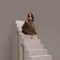 دانلود آلبوم what are you afraid of از Jessica Baio