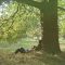 دانلود آلبوم Plastic Ono Band (The Ultimate Collection) از John Lennon