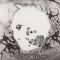 دانلود آلبوم A Moon Shaped Pool از Radiohead