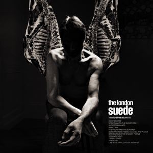 دانلود آلبوم Antidepressants از Suede